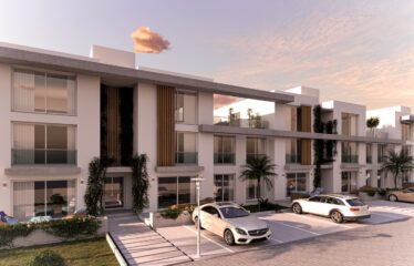 Olive Court 2