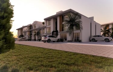 Olive Court 2